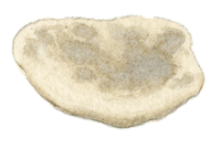 Le tour du monde en 80 pains | pain du bush