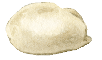 Les pains qui ne sont pas faits à partir de céréales